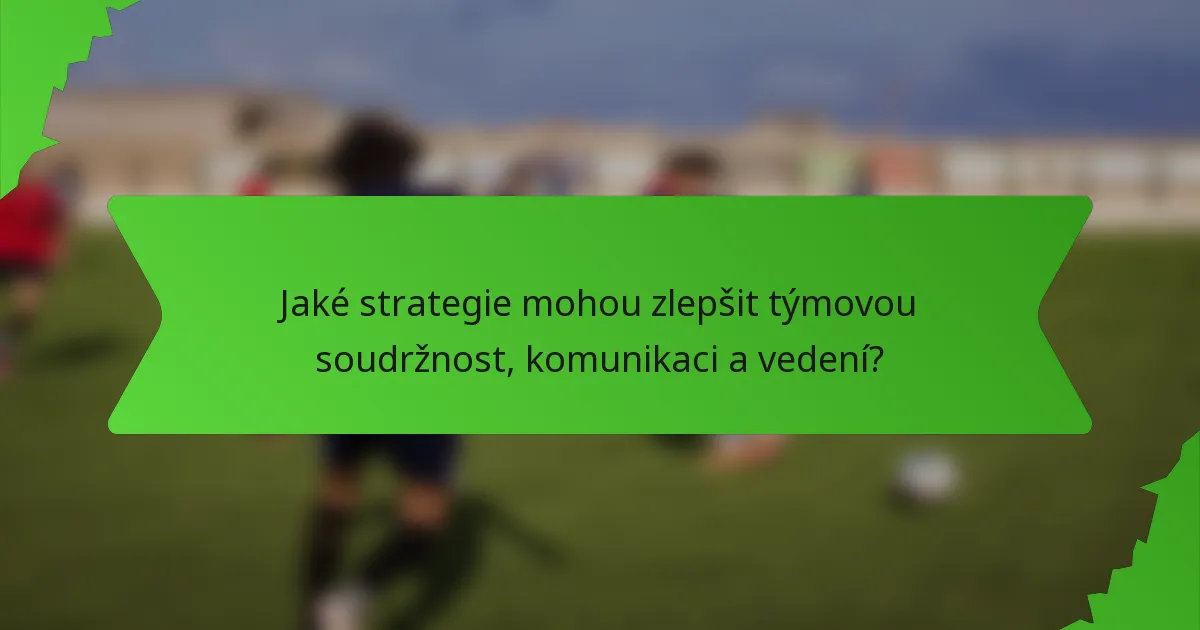 Jaké strategie mohou zlepšit týmovou soudržnost, komunikaci a vedení?